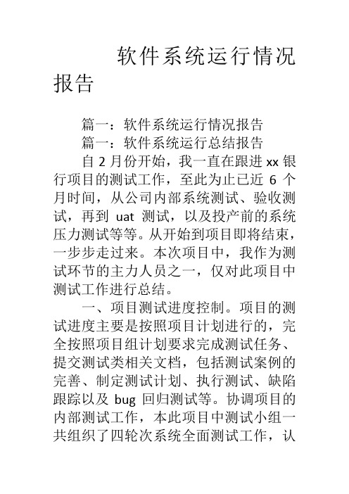 软件系统运行情况报告