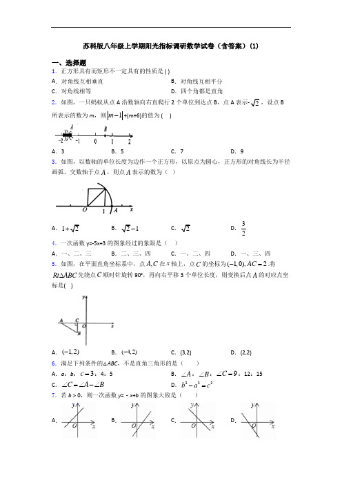 苏科版八年级上学期阳光指标调研数学试卷(含答案)(1)