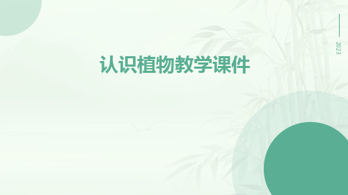 认识植物教学课件