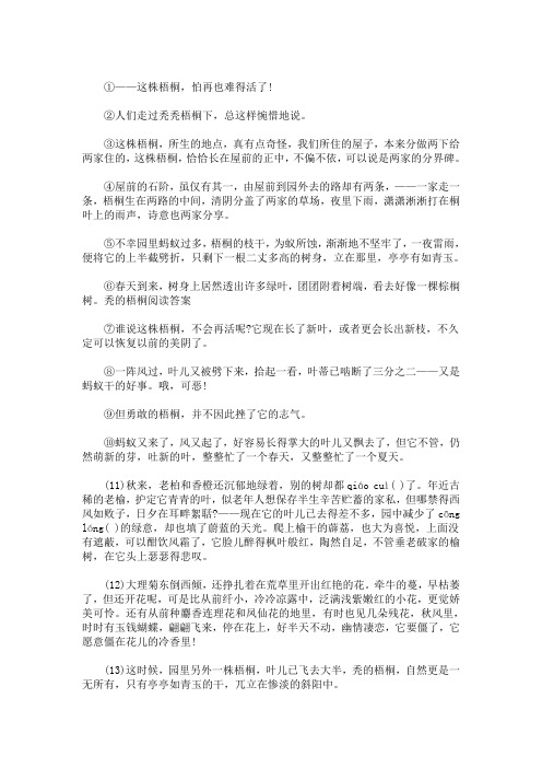 精选最新秃的梧桐阅读答案