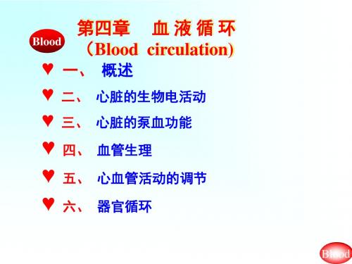 血液循环-生理学精华版