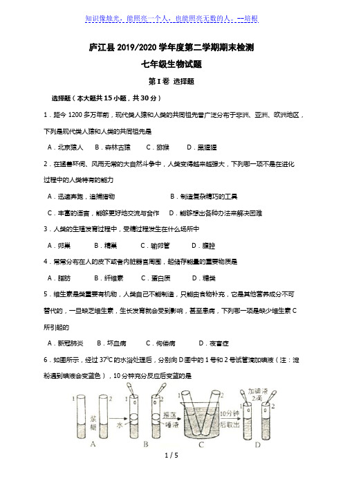 安徽省合肥市庐江县2019-2020学年度第二学期期末检测七年级生物试题(精编word版,含答案)