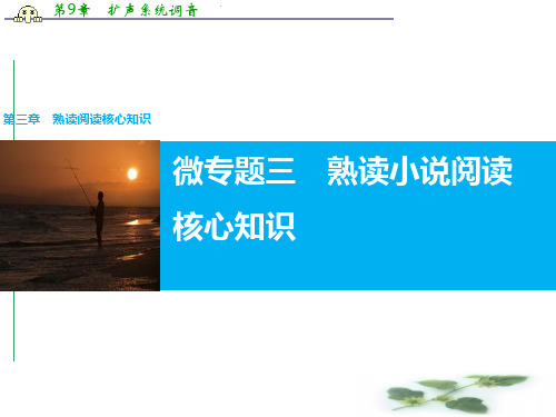 高考语文(全国专用)大二轮总复习与增分策略配套课件:第三章微专题三 熟读小说阅读核心知识