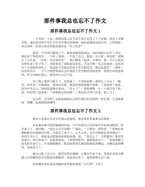 那件事我总也忘不了作文