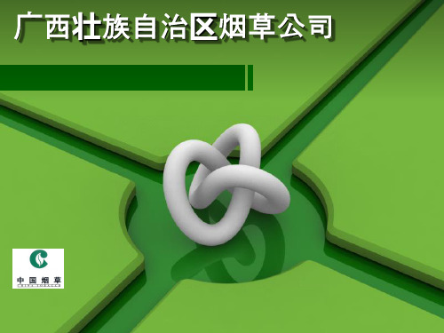 卷烟品牌营销——卷烟品牌终端推介技巧