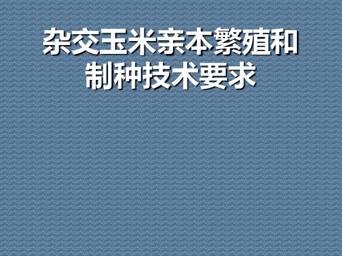 杂交玉米亲本繁殖和制种技术要求