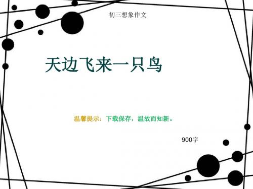 初三想象作文《天边飞来一只鸟》900字(总12页PPT)