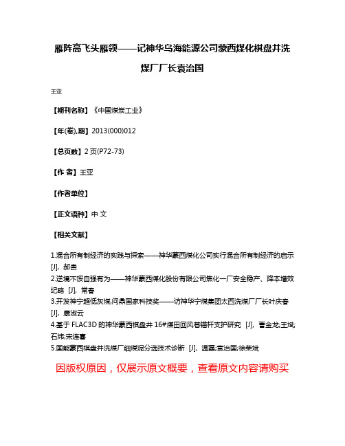 雁阵高飞头雁领——记神华乌海能源公司蒙西煤化棋盘井洗煤厂厂长袁治国