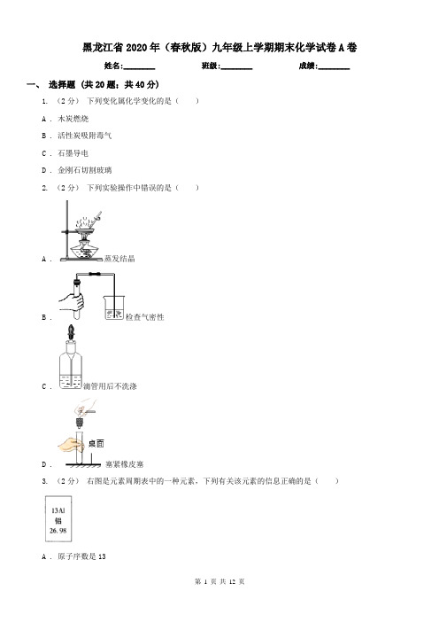 黑龙江省2020年(春秋版)九年级上学期期末化学试卷A卷