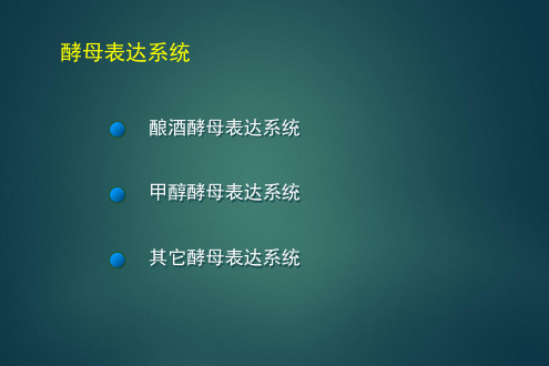 真核生物之酵母表达系统