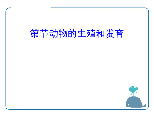 《动物的生殖和发育》教学课件