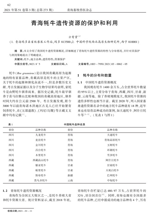 青海牦牛遗传资源的保护和利用