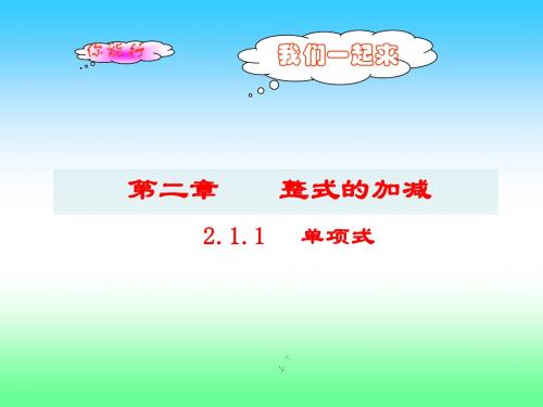 2.1.1单项式(公开课)1