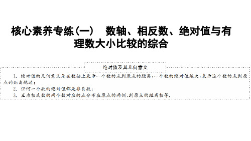 核心素养专练(一) 数轴、相反数、绝对值与有理数大小比较的综合-2020秋华师大版七年级数学上册课件