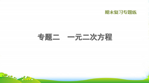 2022秋九年级数学上册期末复习专题练2一元二次方程习题课件新版冀教版