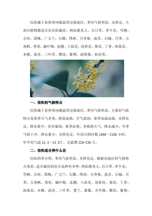 信阳适合养什么花,市花和市树是什么