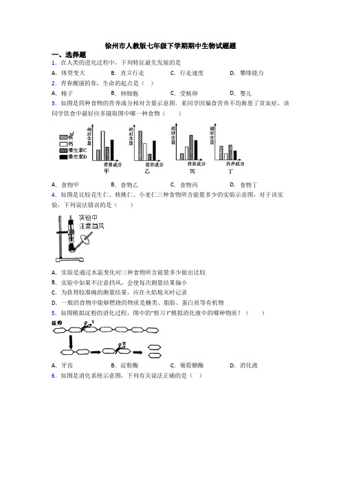 徐州市人教版七年级下学期期中生物试题题