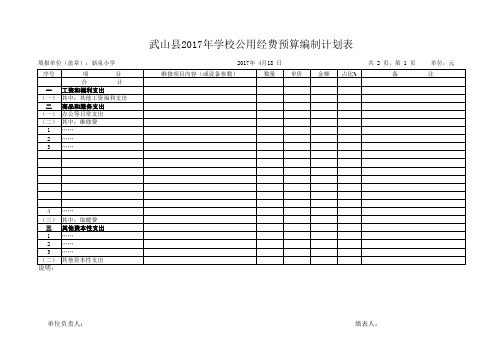 2017年学校公用经费预算编制计划表