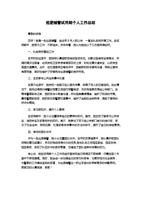 巡逻辅警试用期个人工作总结