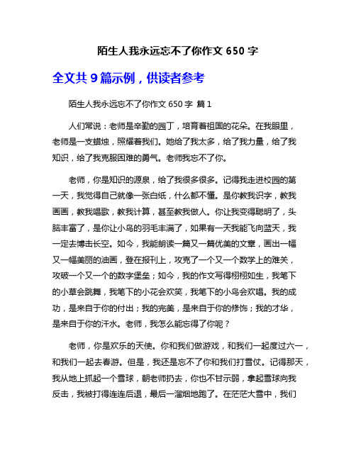 陌生人我永远忘不了你作文650字