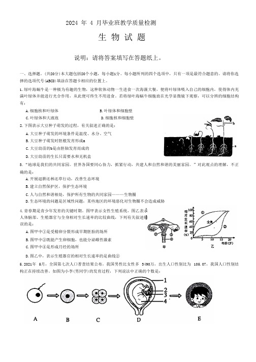 2024年山东省菏泽市中考一模生物试题