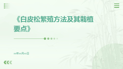 白皮松繁殖方法及其栽植要点