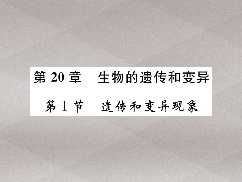 20.1 遗传和变异现象 2020秋北师大版八年级上册生物课件