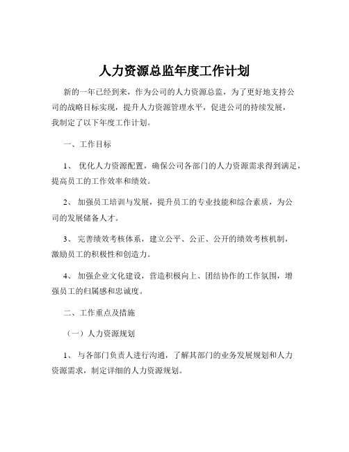 人力资源总监年度工作计划