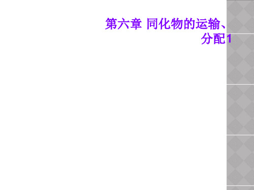 第六章 同化物的运输、分配1