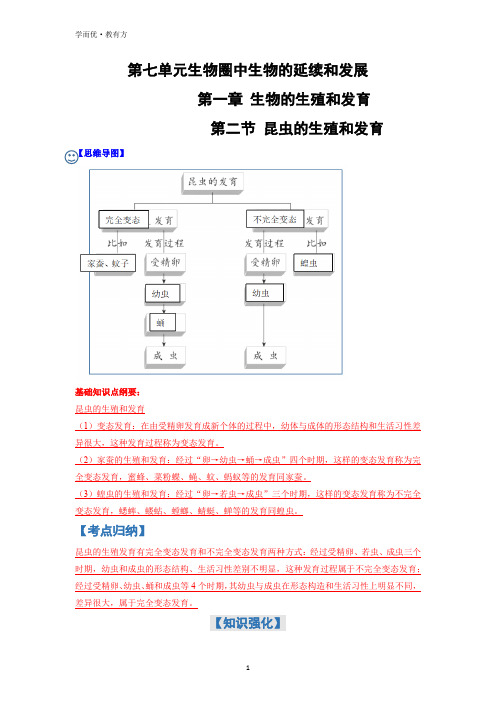 知识梳理--《昆虫的生殖和发育》(原卷版)