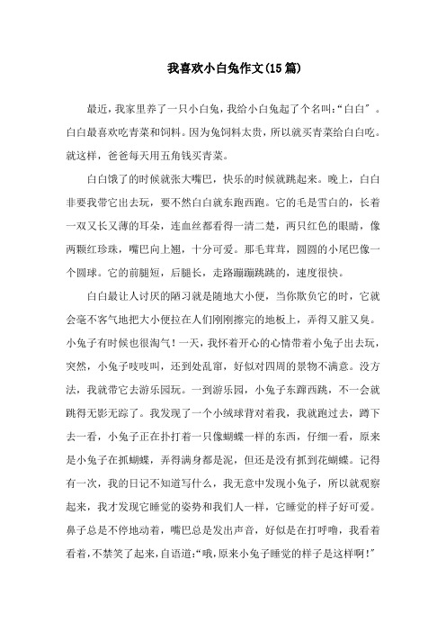 我喜欢小白兔作文(15篇)精选