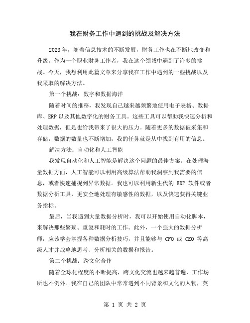 我在财务工作中遇到的挑战及解决方法