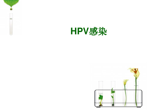 宫颈癌与hpv感染 PPT课件