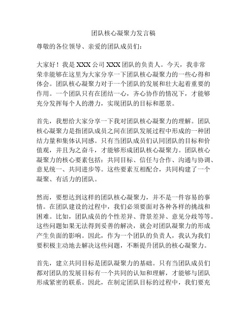 团队核心凝聚力发言稿