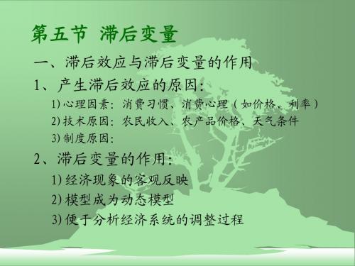 滞后变量(计量经济学-浙江工商大学,赵卫亚)