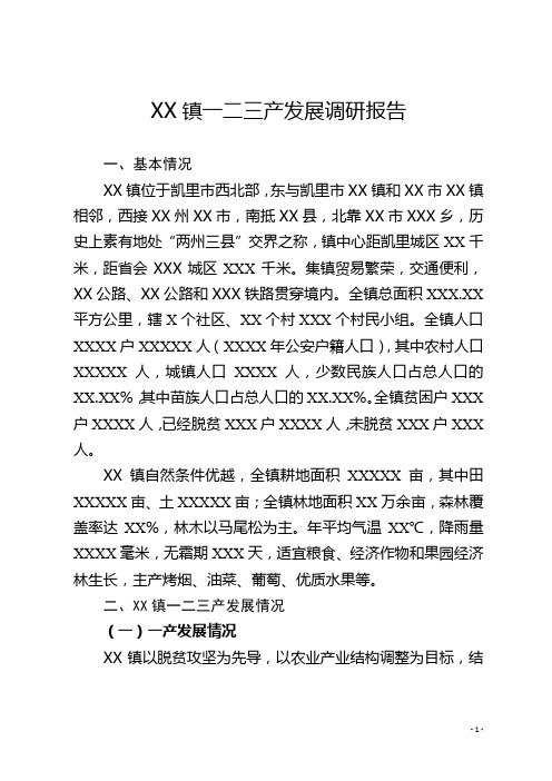 XX镇一二三产发展调研报告