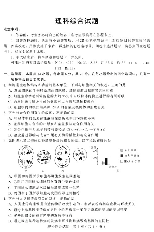 河北省2020届高三下学期综合考试理综试卷 扫描版含答案 