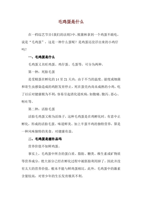 毛鸡蛋是什么