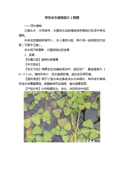 常见水生植物简介（附图