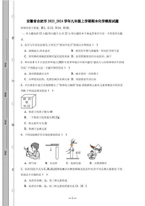 安徽省合肥市2023_2024学年九年级上学期期末化学模拟试卷(有答案)