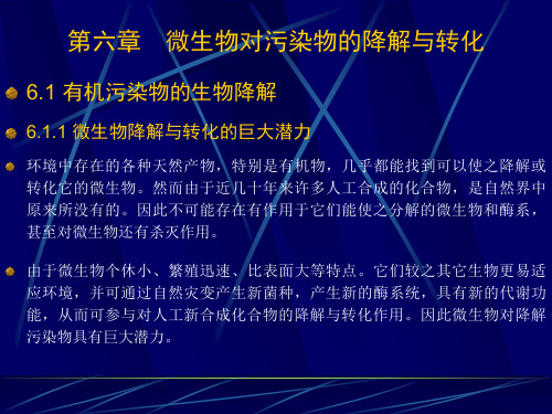 微生物对污染物的降解与转化