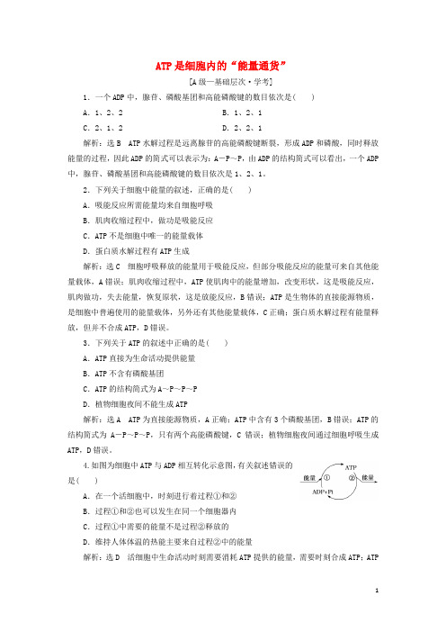 _新教材高中生物课时检测11ATP是细胞内的“能量通货”含解析浙科版必修