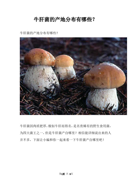 牛肝菌的产地分布有哪些？