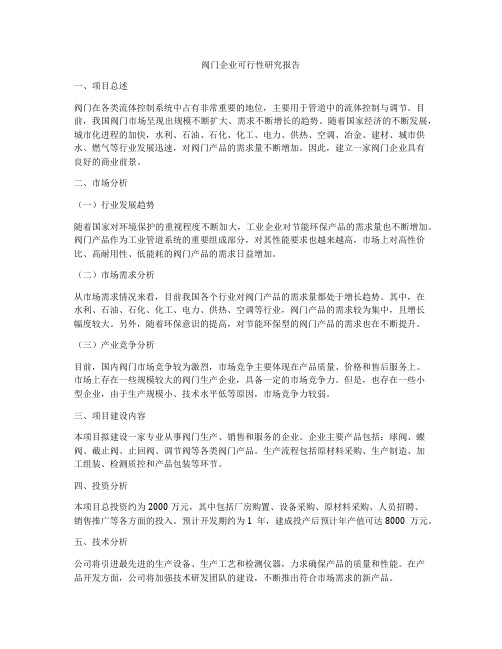 阀门企业可行性研究报告