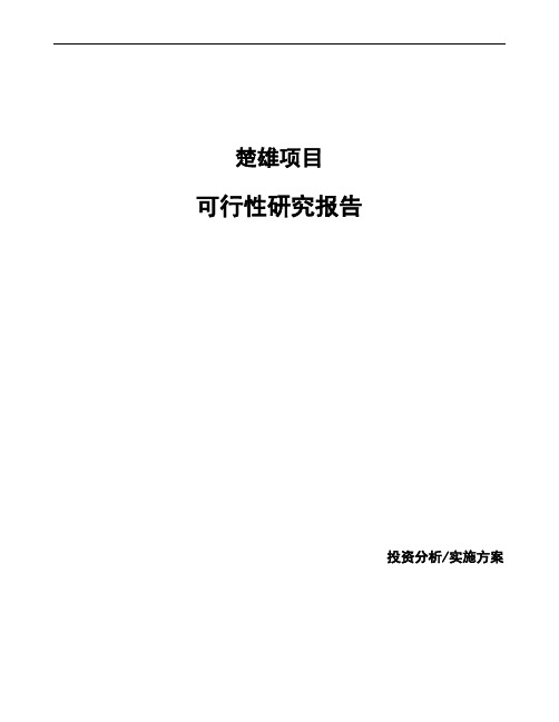 楚雄项目可行性研究报告(备案)