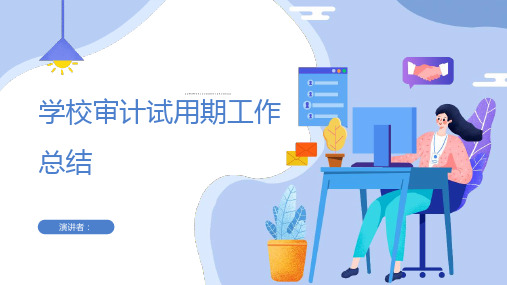 学校审计试用期工作总结