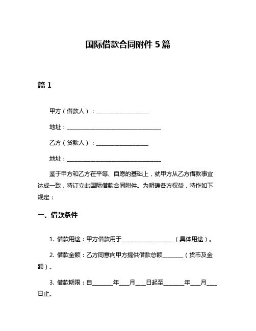 国际借款合同附件5篇