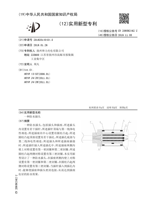【CN209592462U】一种防水插头【专利】