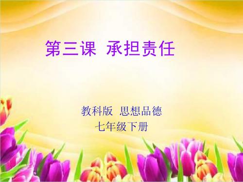 第三课承担责任
