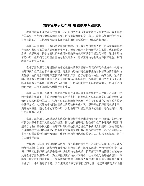 发挥名师示范作用 引领教师专业成长